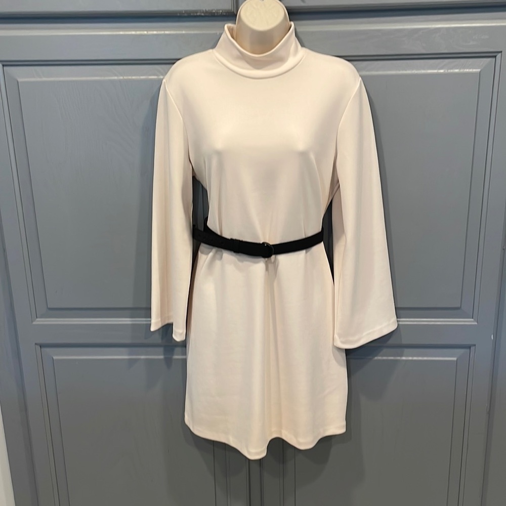 Club Monaco Dress